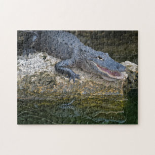 Puzzle Crocodile foncé avec une réflexion claire dans l'e