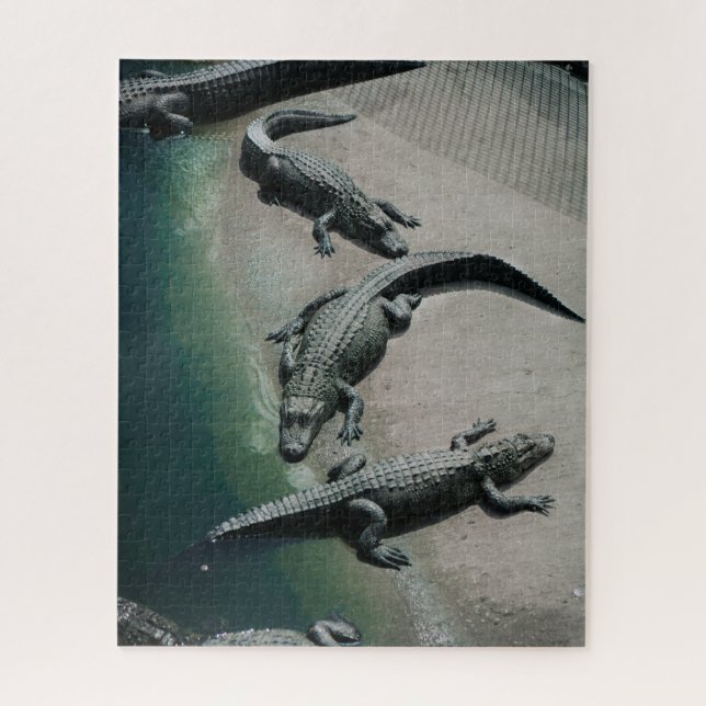 Puzzle Crocodiles reposant sur une faune de Riverbank (Vertical)
