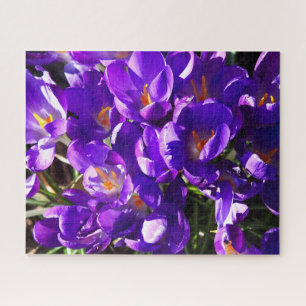 PUZZLE CROCUS DE PRINTEMPS