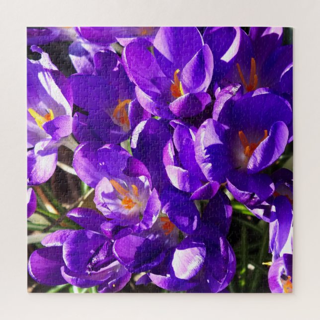 PUZZLE CROCUS DE PRINTEMPS (Vertical)