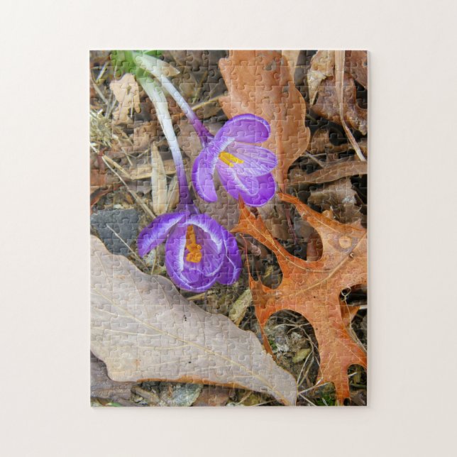 puzzle - Crocus violets (Vertical)