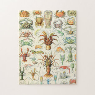 Puzzle Crostères Adolphe Millot
