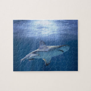 Puzzle Cruising Shark