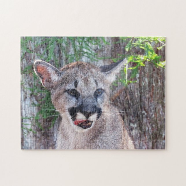 Puzzle Cube adorable - Panthère de Floride / Cougar / Pum (Horizontal)