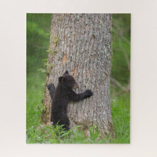 Puzzle Cube d'ours noir   Great Smoky Mountains