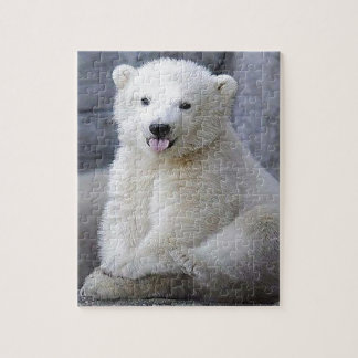 Puzzle Cube d'ours polaire