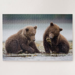 Puzzle Cubes d'ours Brown au ruisseau