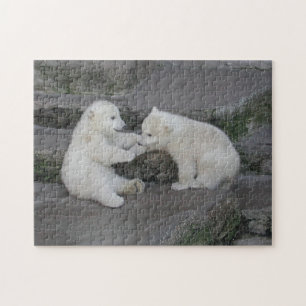 Puzzle Cubes d'ours polaires