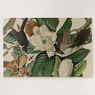 Puzzle Cuckoo à bec noir - Audubon's Birds of America