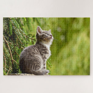 Puzzle Cuisine Chat Gris Kitten Pin vert arbre