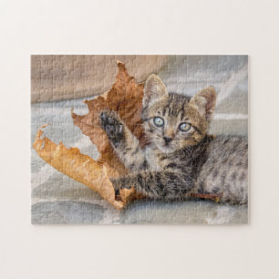 Puzzle Cuisine Tabby Cat Kitten Jouant avec une feuille -