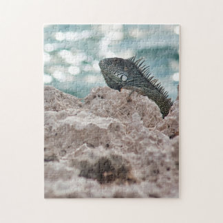 Puzzle Curacao - Iguana Vert - Animal