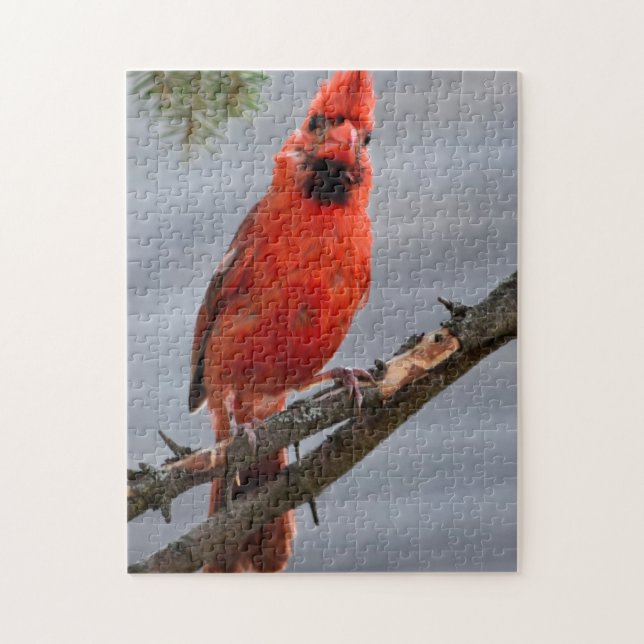Puzzle Curieux casse-tête cardinal (Vertical)