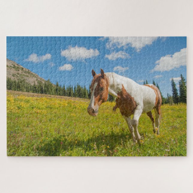 Puzzle Curieux Cheval dans une prairie alpine en été (Horizontal)