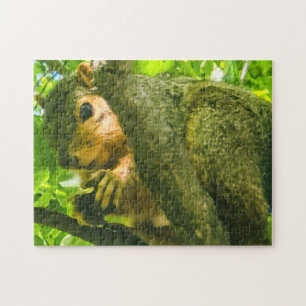 Puzzle "Curieux dans la canopée"