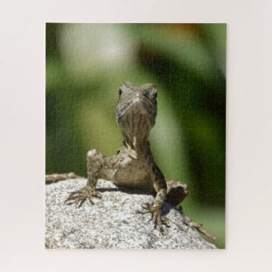 Puzzle Curieux Lézard Juvénile