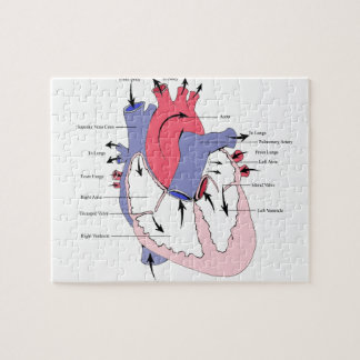 Puzzle - Customized