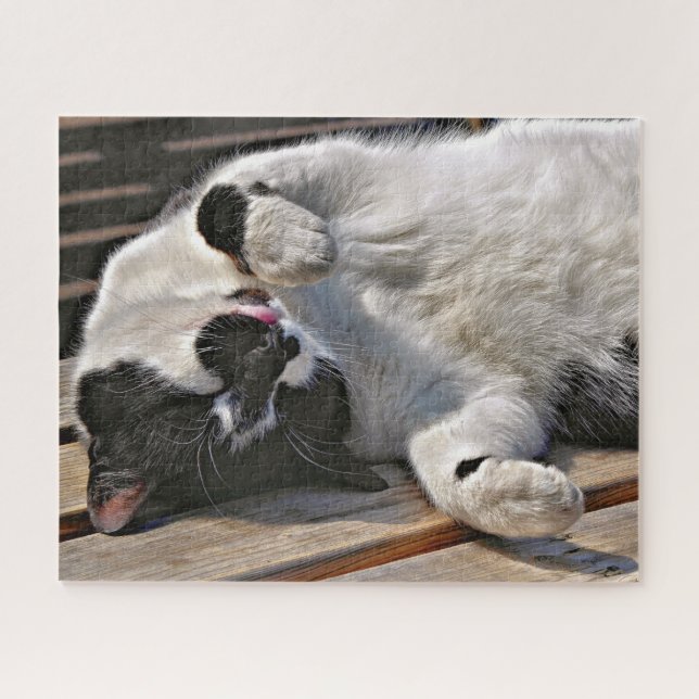 PUZZLE CUT CAT (Horizontal)