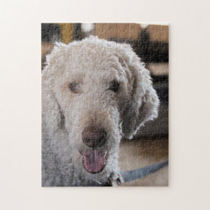 Puzzle Cute