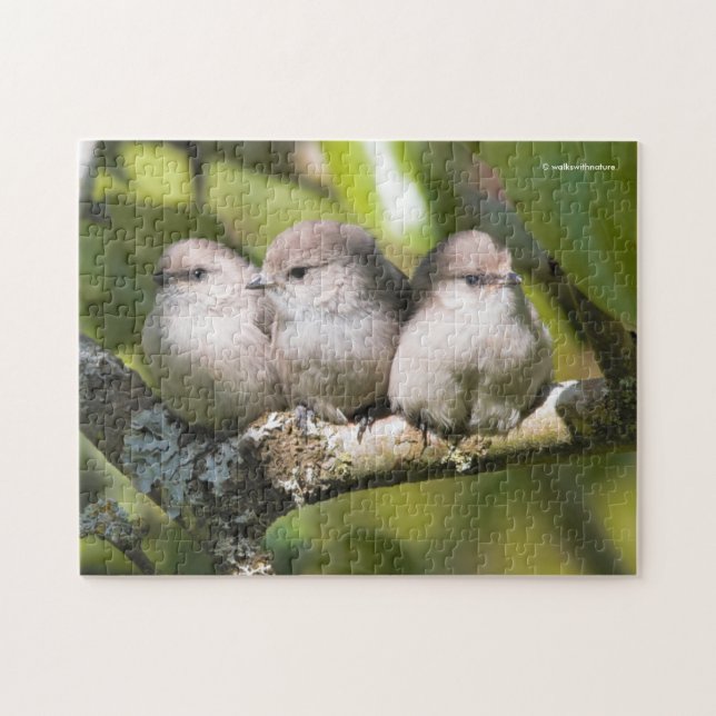 Puzzle Cute Baby Bushtit Songbirds (Horizontal)