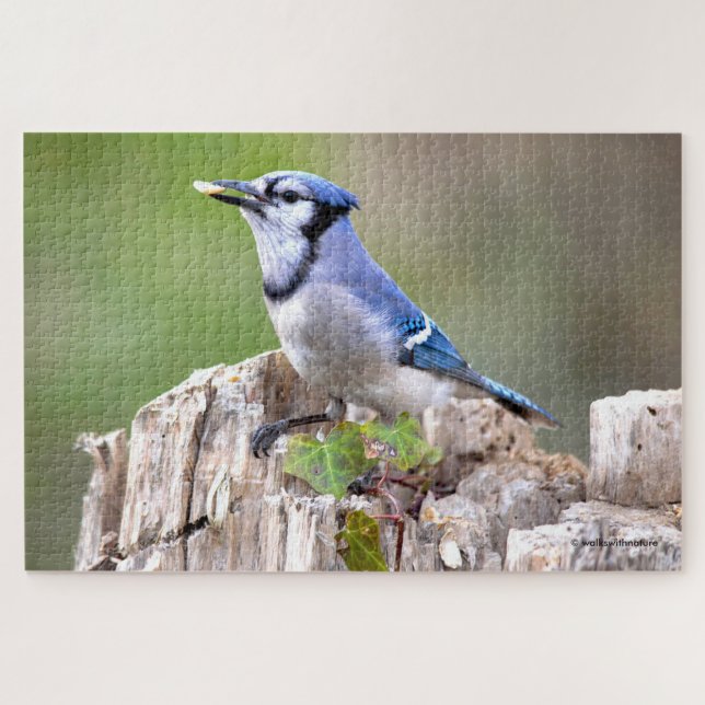 Puzzle Cute Bleu Jay Songbird sur Treestump (Horizontal)