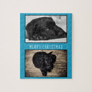 Puzzle Cute Blue Chien Chien Chien Chien Chien Chien 2 Ph