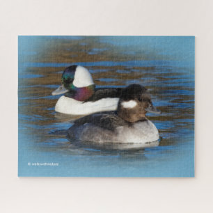 Puzzle Cute Bufflehead Canards Lovebirds à Winter Pond