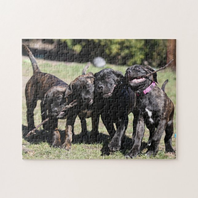Puzzle Cute Cane Corso Chiot (Horizontal)