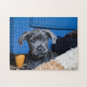 Puzzle Cute Cane Corso Chiot