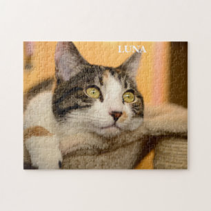 Puzzle Cute chat Calico