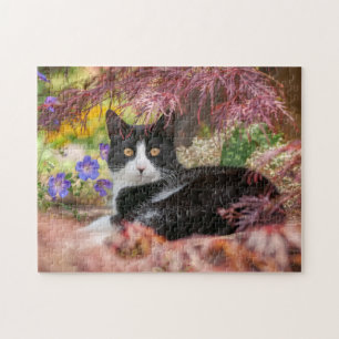 Puzzle Cute chat noir blanc reposant sous un érablière -