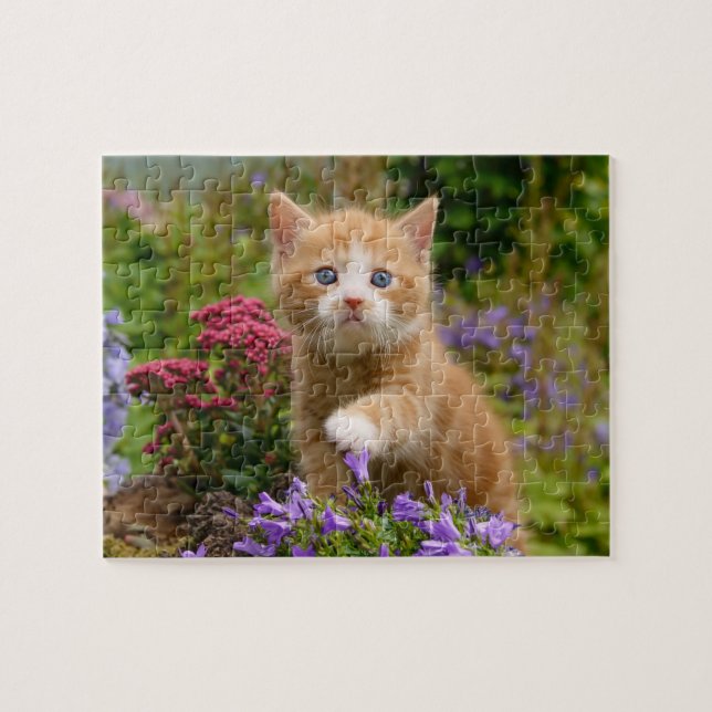 Puzzle Cute chaton gingembre dans un jardin (Horizontal)