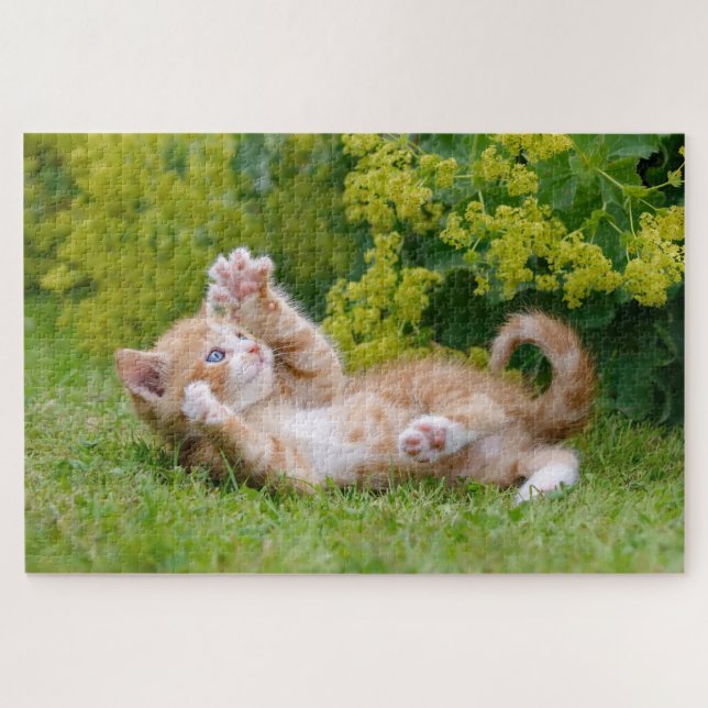 Puzzle Cute chaton jouant dans un jardin fleuri _ (Horizontal)