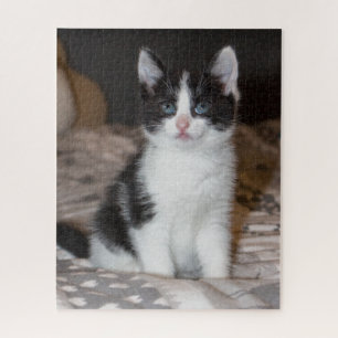 Puzzle Cute chaton noir et blanc
