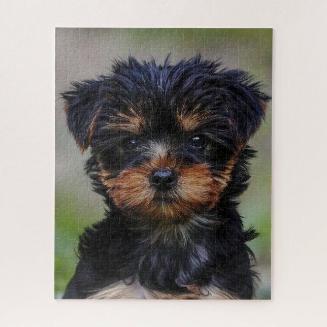 Puzzle Cute chiot Yorkie (Vertical)
