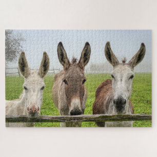 Puzzle Cute Donkeys In Misty Paddock Animals Nature