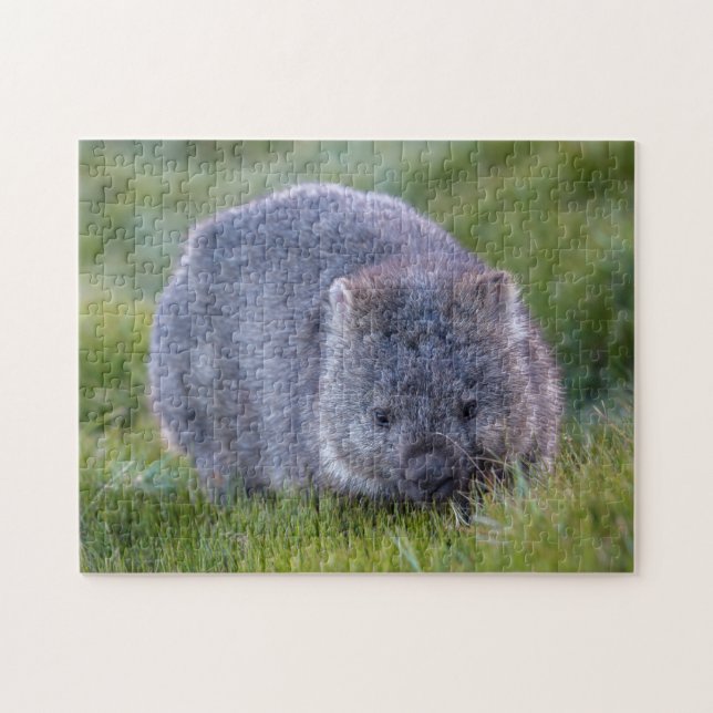 Puzzle Cute Exotic Wombat Animal Wildlife, 252 pièces (Horizontal)