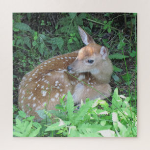 Puzzle Cute Fawn