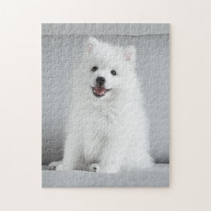 Puzzle Cute Fluffy Japonais Spitz Puppy