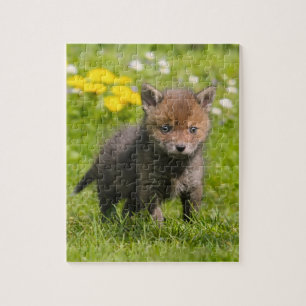 Puzzle Cute Fluffy Red Fox Cub Wild Baby Animal Jeu 8x10