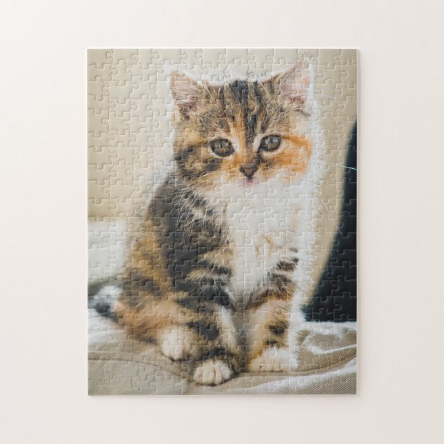 Puzzle Cute Fuzzy Calico Tabby Kitten Photo Chat (Vertical)