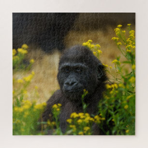 Puzzle Cute Gorilla Baby