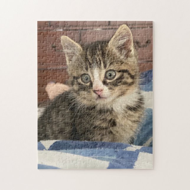 Puzzle Cute Kitten | Laissez cette photo ou ajoutez-la à  (Vertical)