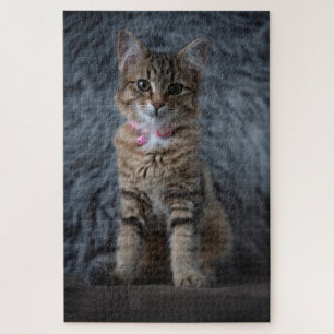 Puzzle Cute kitten portrait de chat, 1014 pièces