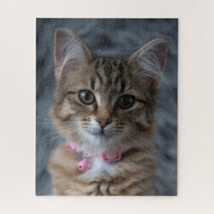 Puzzle Cute kitten portrait de chat, 520 pièces