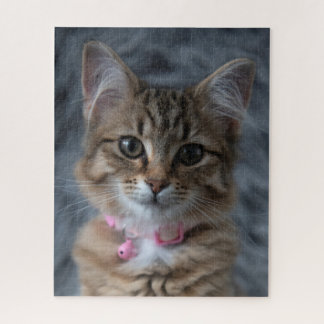 Puzzle Cute kitten portrait de chat, 520 pièces