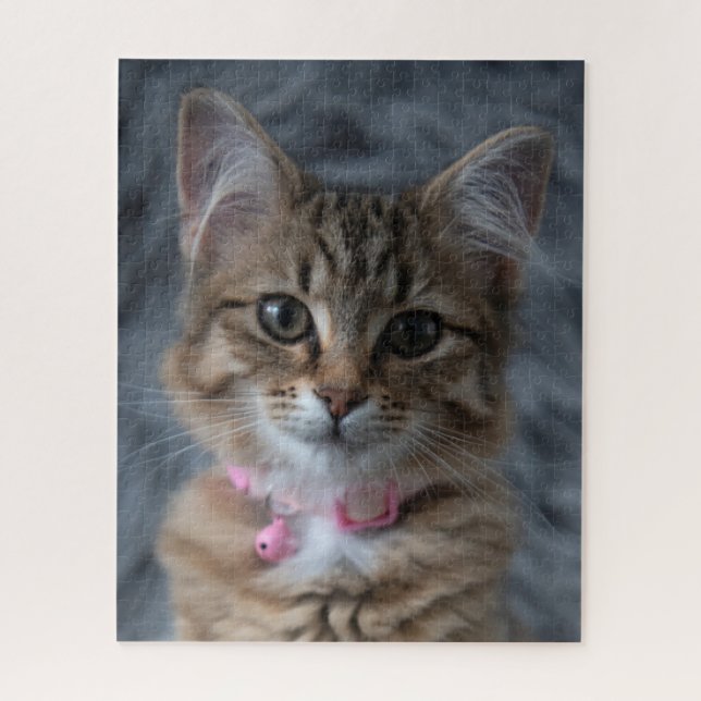 Puzzle Cute kitten portrait de chat, 520 pièces (Vertical)
