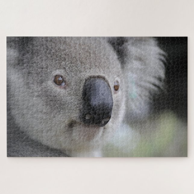 Puzzle Cute Koala face à la nature animale marine Austral (Horizontal)