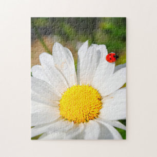 Puzzle Cute Ladybird Sur Marguerite Daisy Flower Joli