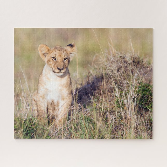 Puzzle Cute lionceau en Afrique photo (Horizontal)